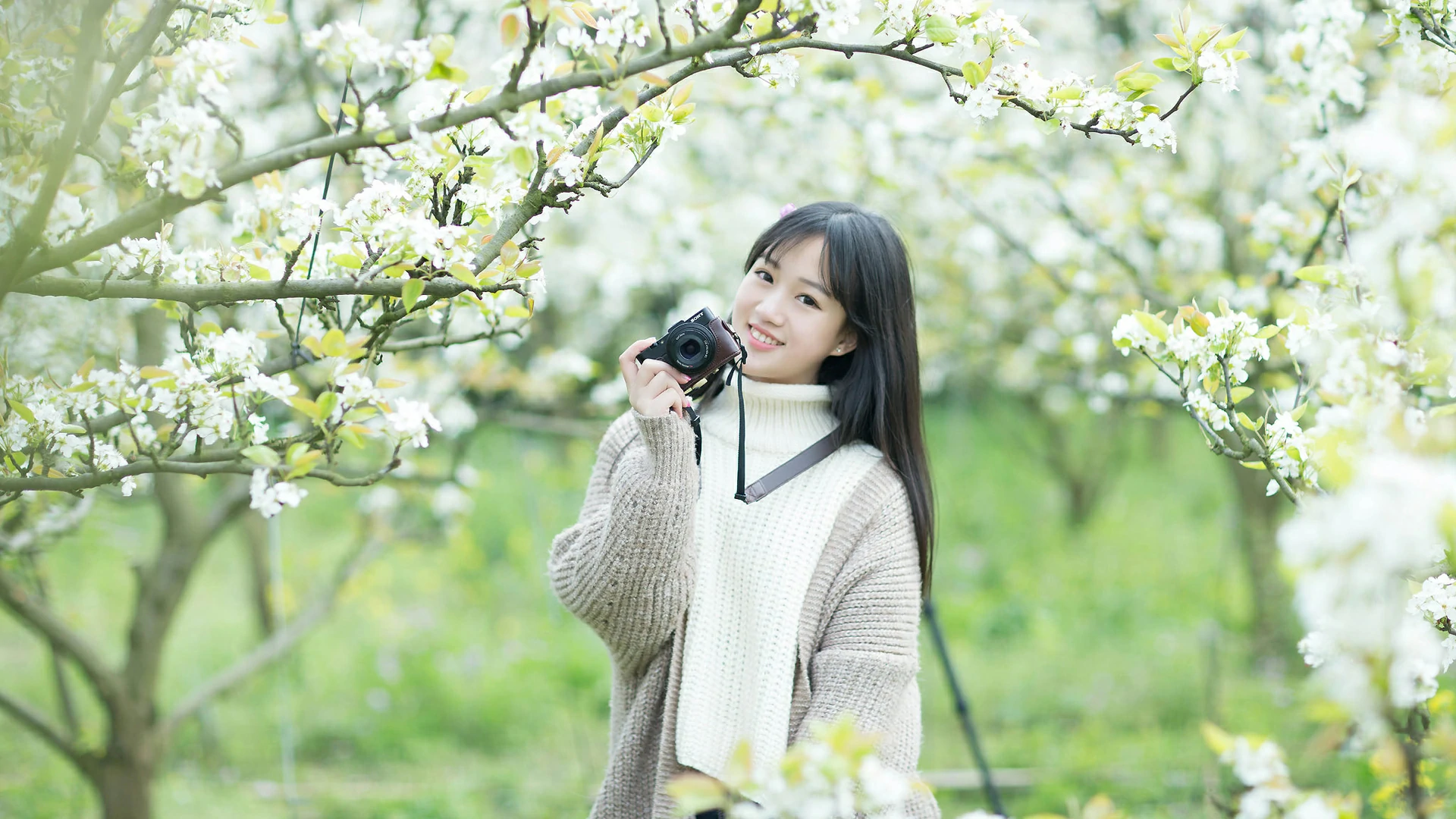 Windows系统配置搭建FTP站点